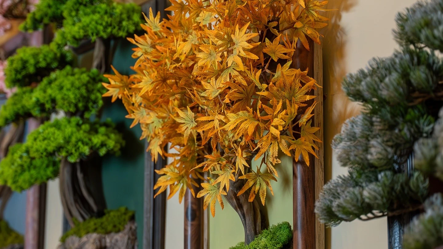 Dekorativ Bonsai Ağaclarının 7 Üstünlüyü (Niyə Canlı Bitkilərdən Daha Yaxşıdır?)