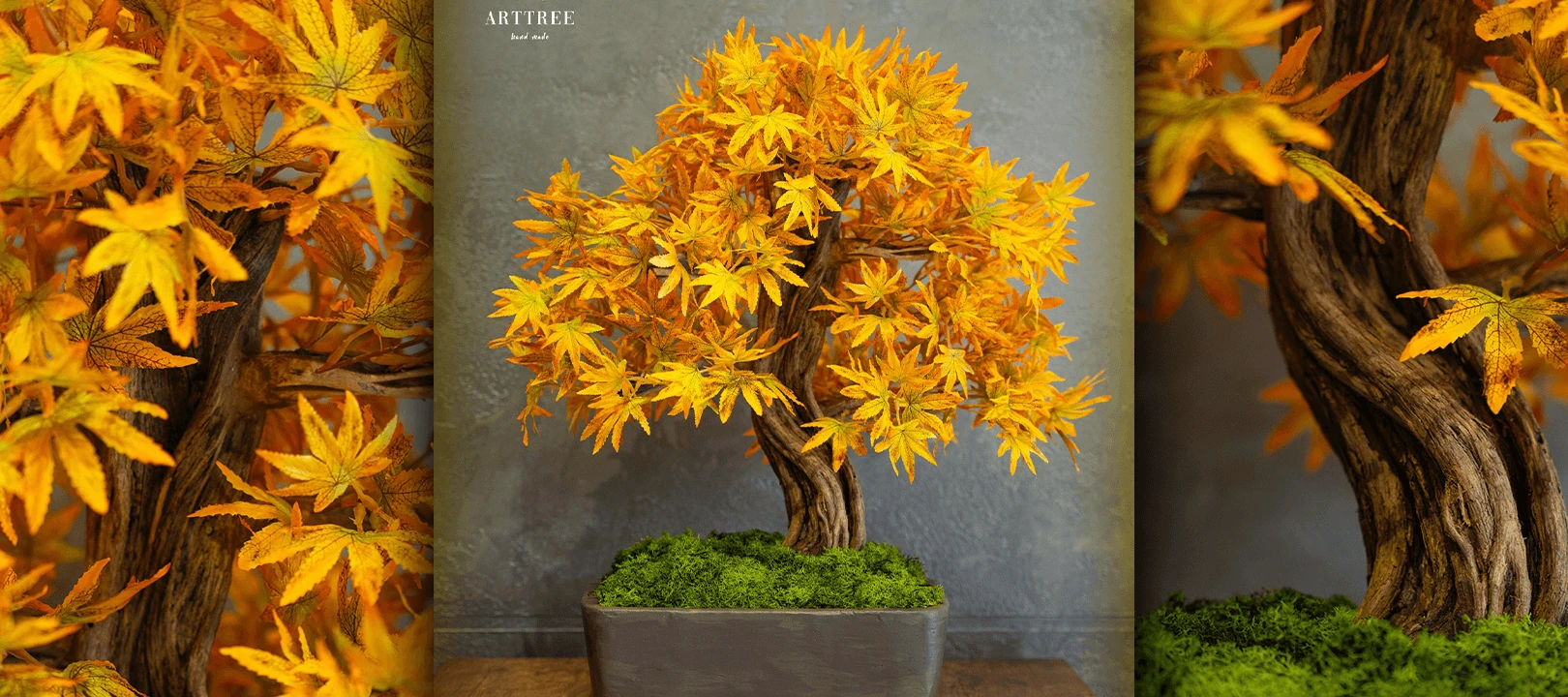 Big Bonsai