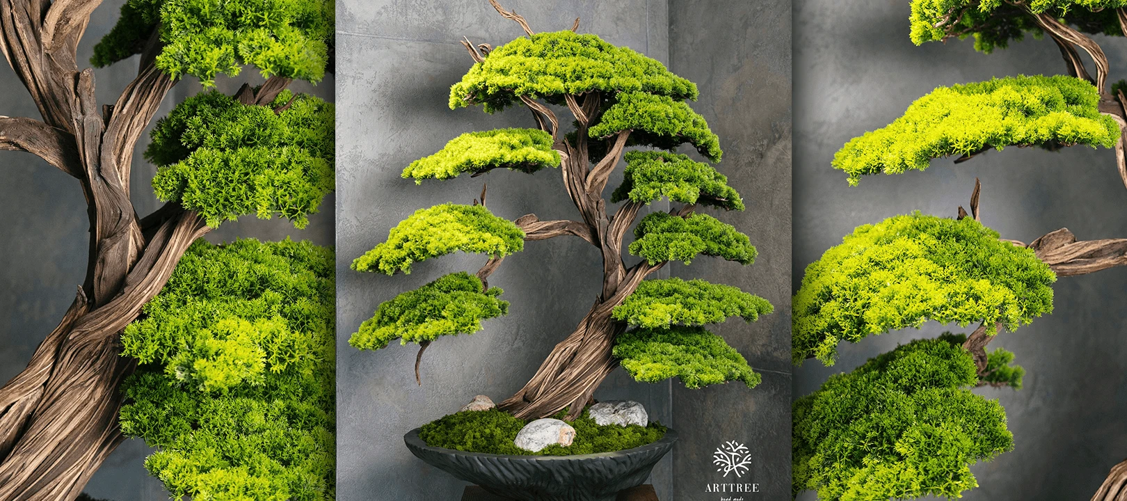 Premium Bonsai