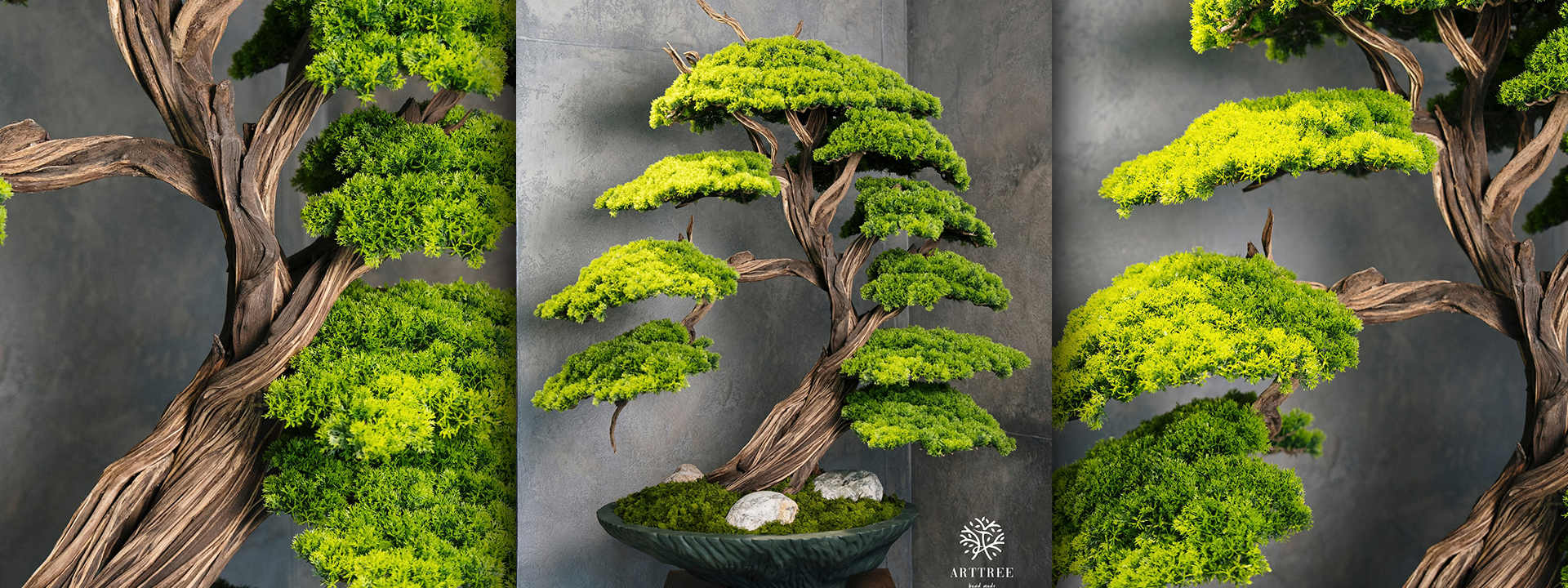 Premium Bonsai